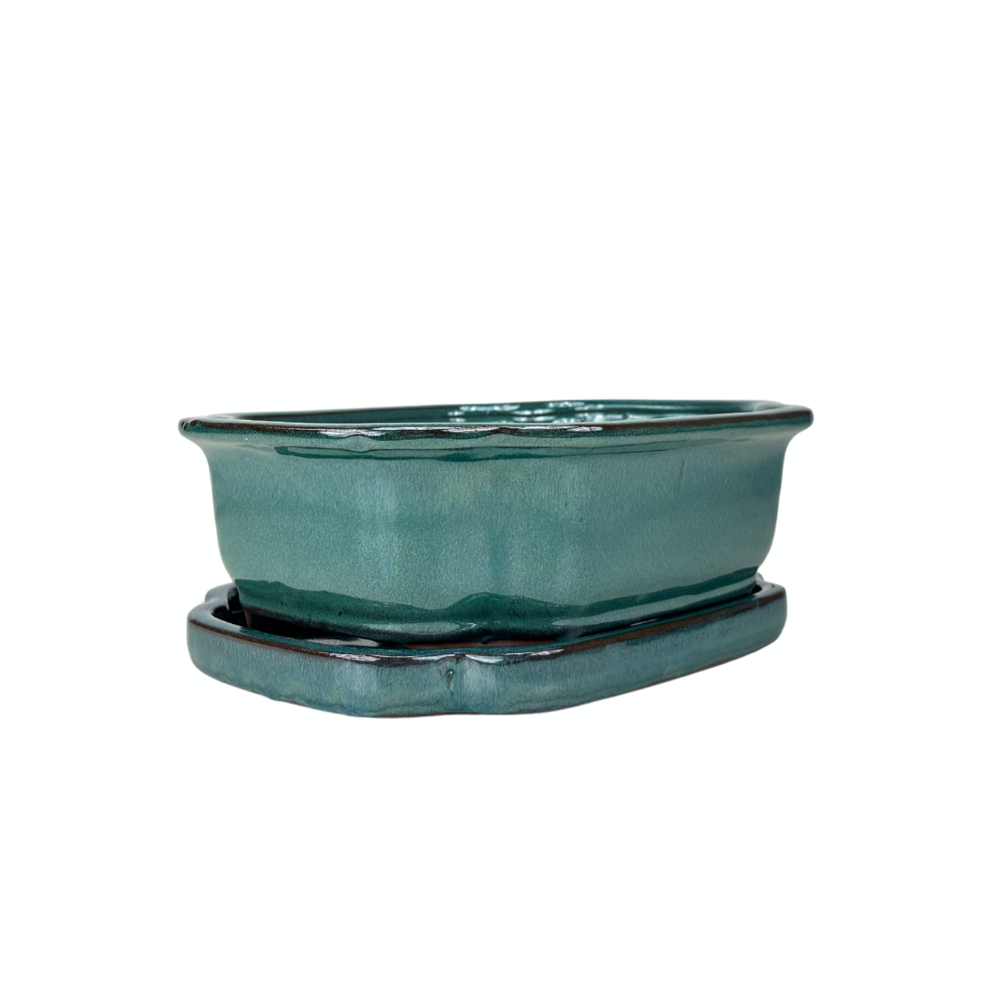 Pot à bonsaï vert mokko 26 cm - ensemble