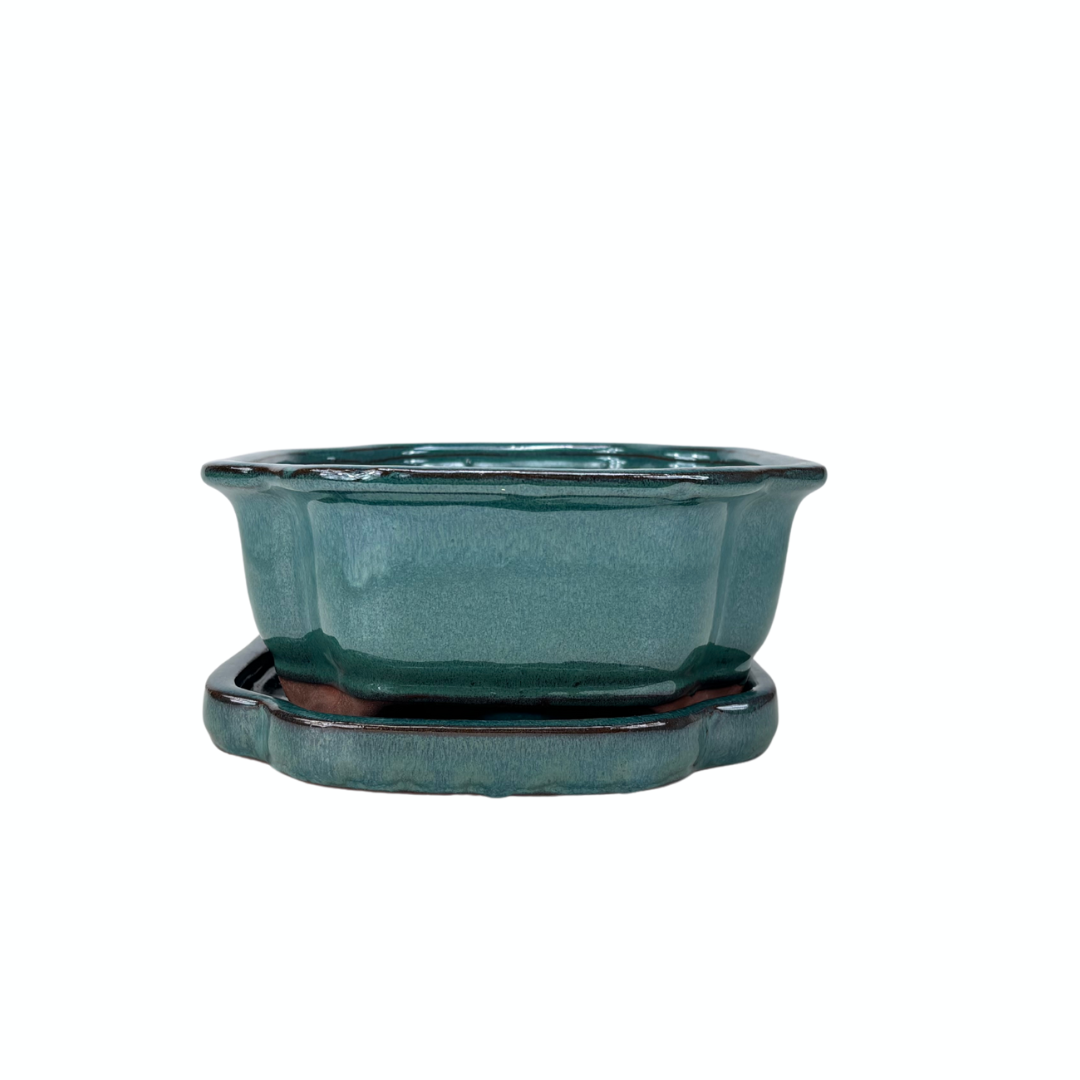 Pot à bonsaï vert mokko 26 cm - ensemble