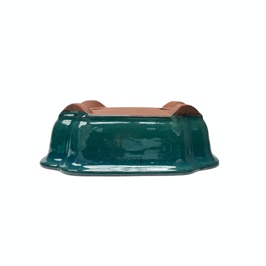 Pot à bonsaï vert mokko 26 cm - ensemble