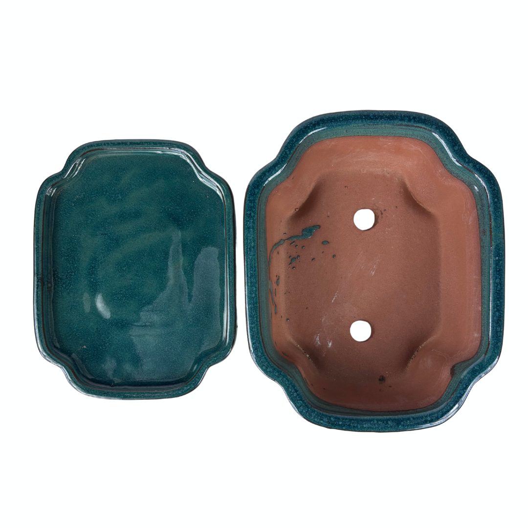 Pot à bonsaï vert mokko 22 cm - ensemble