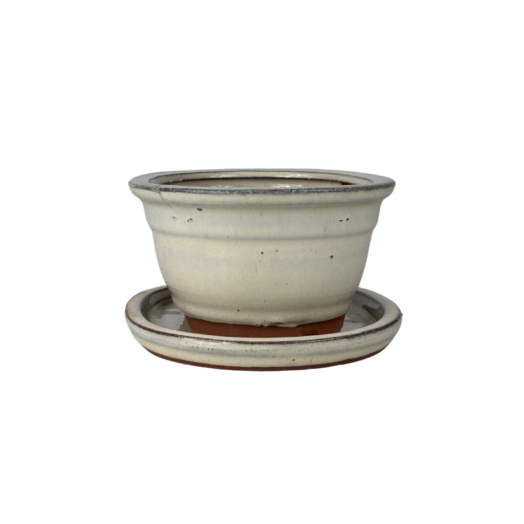 Pot à bonsaï ovale crème, avec rebord, 16 cm - lot