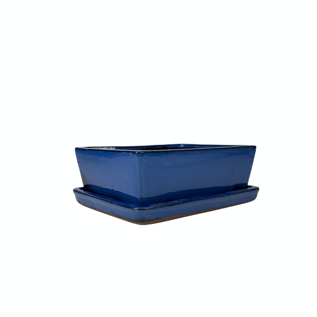 Pot à bonsaï rectangulaire bleu 24 cm - ensemble