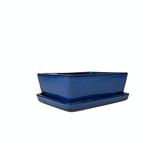 Pot à bonsaï rectangulaire bleu 15 cm - lot