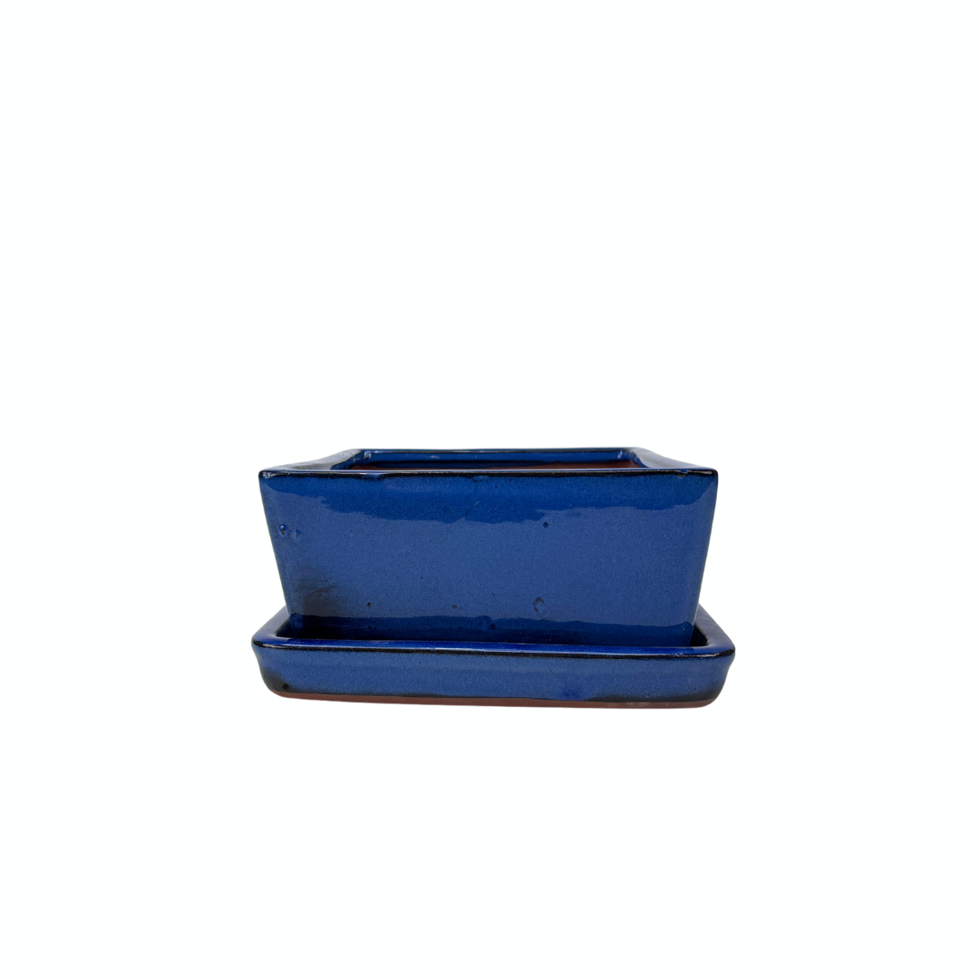 Pot à bonsaï rectangulaire bleu 24 cm - ensemble