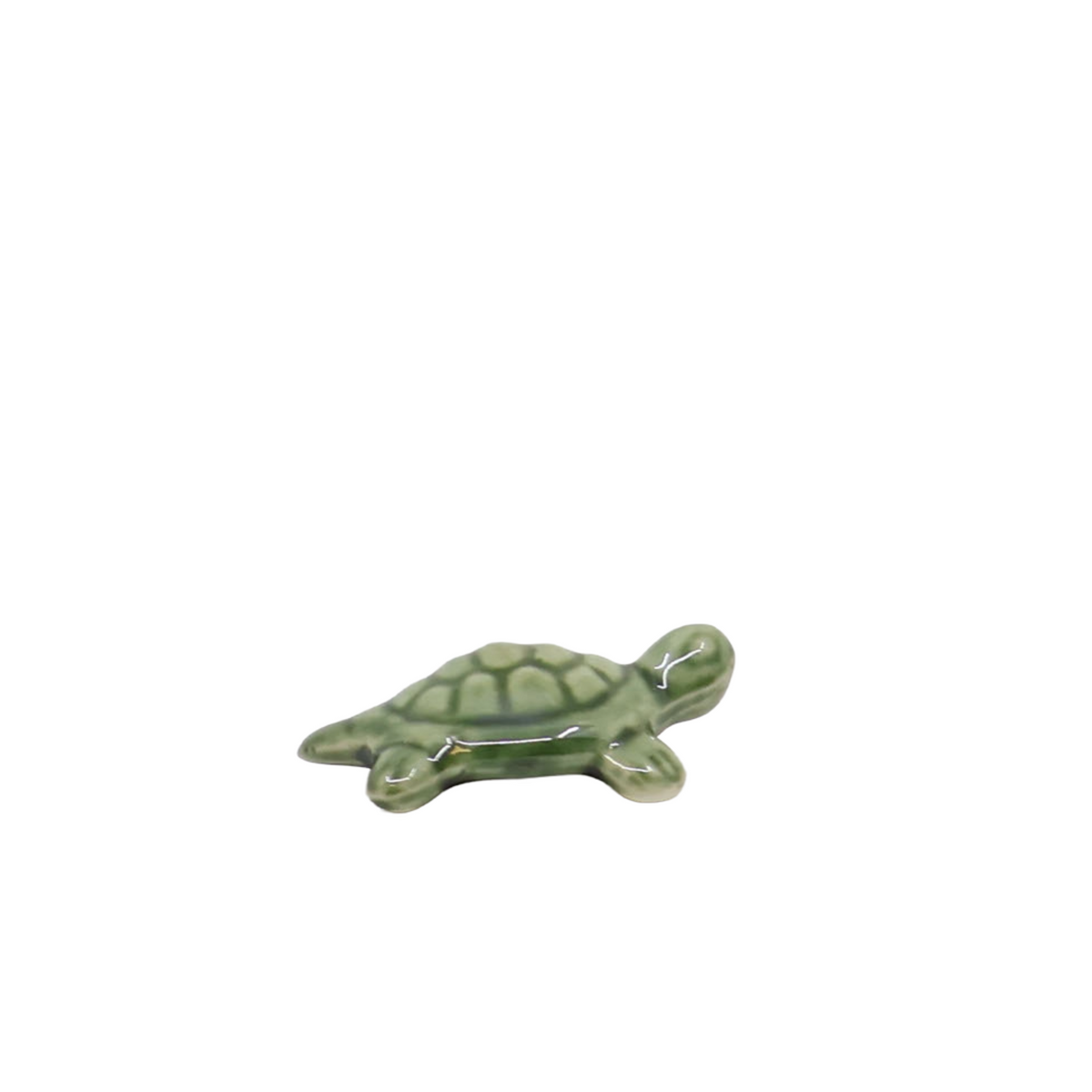 Bonsaï Tenpai / Tortue (céramique)