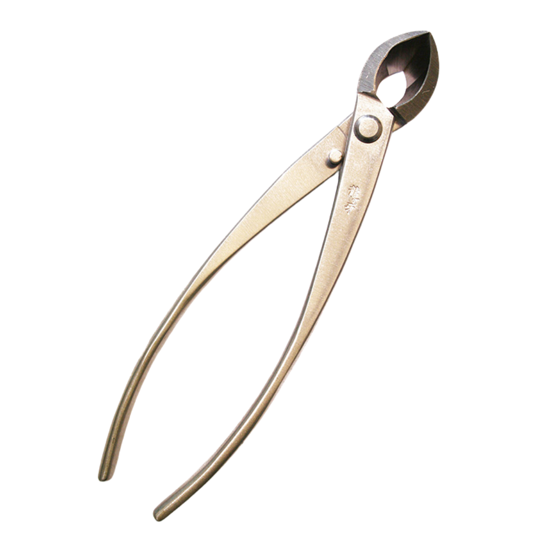 Pince concave Ryuga pour bonsaï en acier inoxydable 203 mm