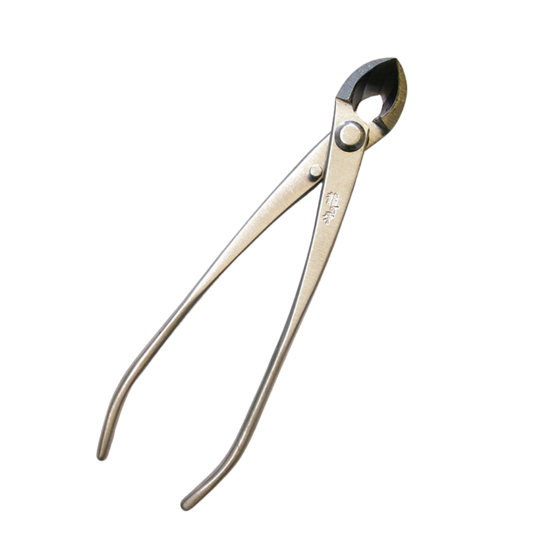 Pince concave pour bonsaï en acier inoxydable 170 mm