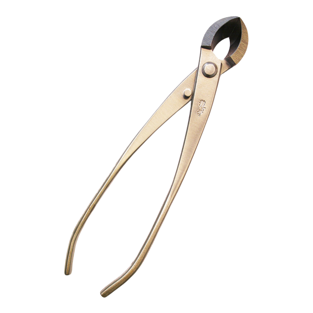 Pince Ryuga pour bonsaï - Sphérique en acier inoxydable 205 mm