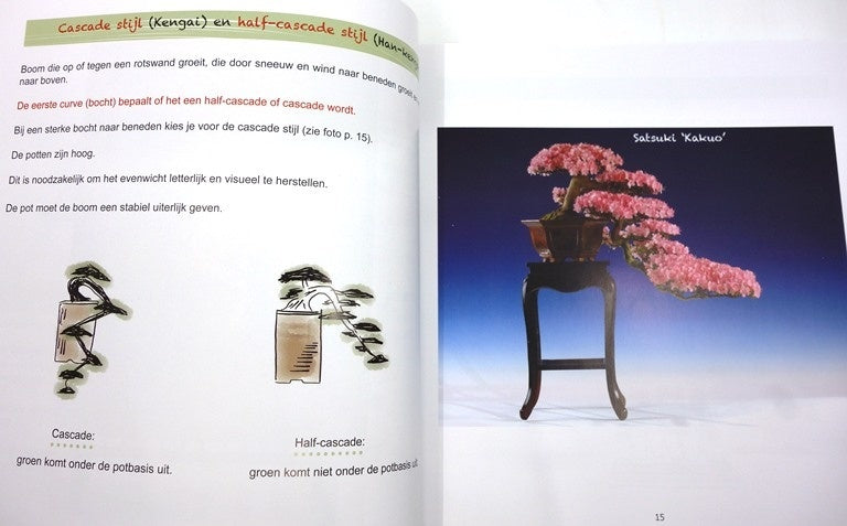 Bonsaï - Plus qu'un arbre dans un pot, Janine Droste